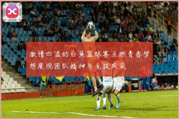 激情四溢的白蕉篮球赛点燃青春梦想展现团队精神与竞技风采