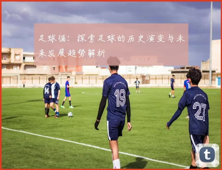足球循：探索足球的历史演变与未来发展趋势解析