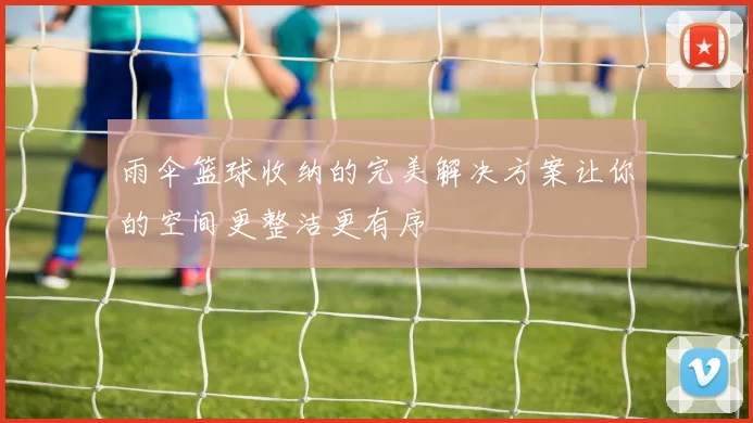 雨伞篮球收纳的完美解决方案让你的空间更整洁更有序